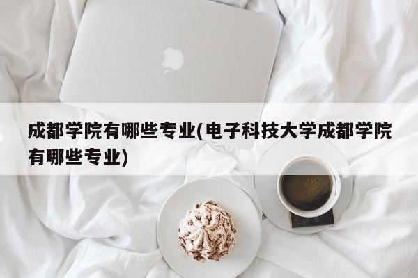 成都学院有哪些专业(电子科技大学成都学院有哪些专业)