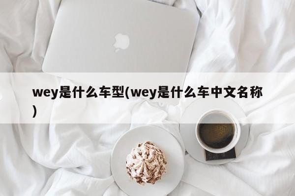 wey是什么车型(wey是什么车中文名称)