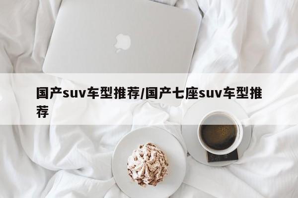 国产suv车型推荐/国产七座suv车型推荐