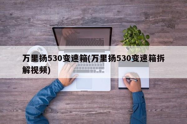 万里扬530变速箱(万里扬530变速箱拆解视频)