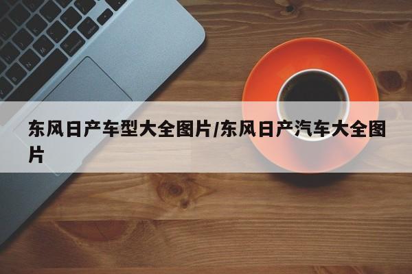 东风日产车型大全图片/东风日产汽车大全图片