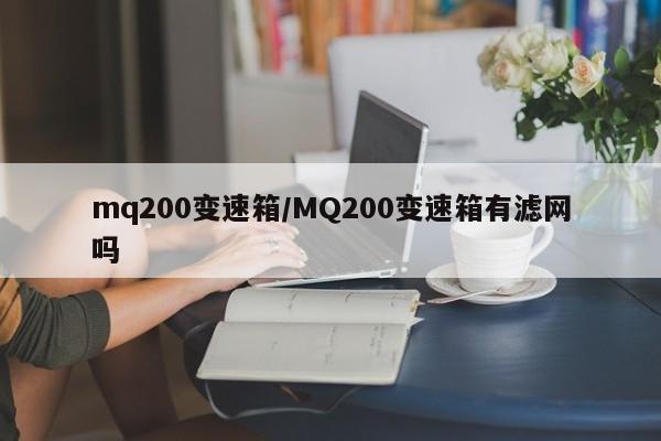 mq200变速箱/MQ200变速箱有滤网吗